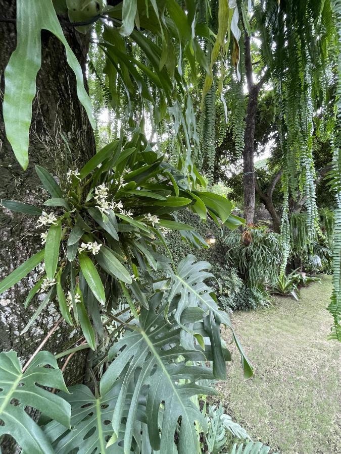 Iguanazu Bed & Breakfast Гуаякиль Экстерьер фото